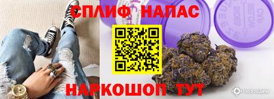 дмт Апшеронск