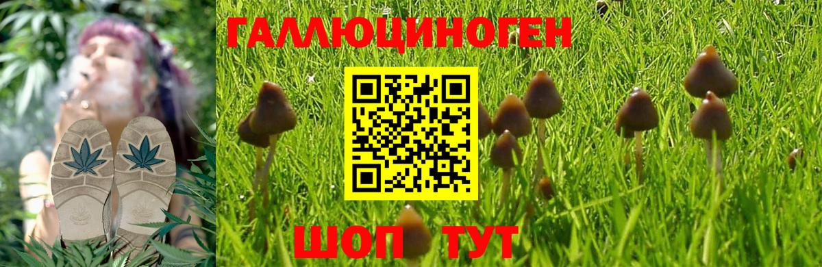 Галлюциногенные грибы MAGIC MUSHROOMS Бугуруслан